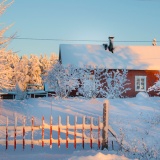 Jeris week 45 12-4714